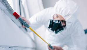 Best Residential Pest Control  in East Pittsburgh, PA